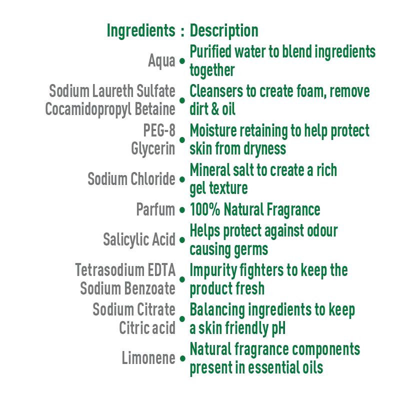 Dettol Parents Approved Shower Gel Citrus 950ml